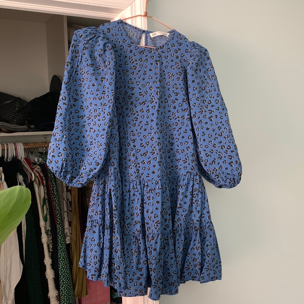 Zara Dress